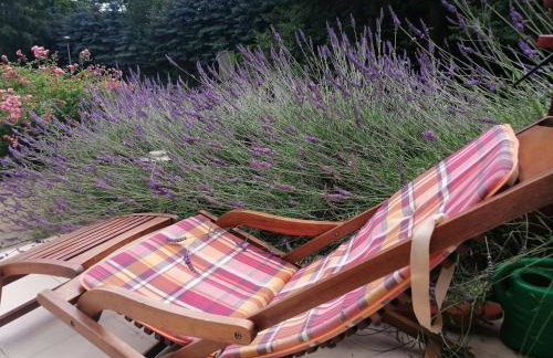 Leśna Wisełka - Foto 7