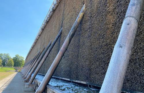 FeWo Zum Ritterorden - Foto 21