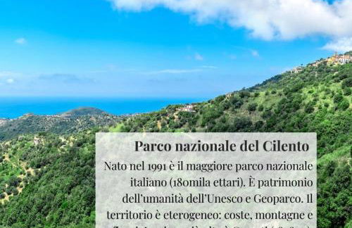 Gelsomina Maison-SCARIO - Foto 16