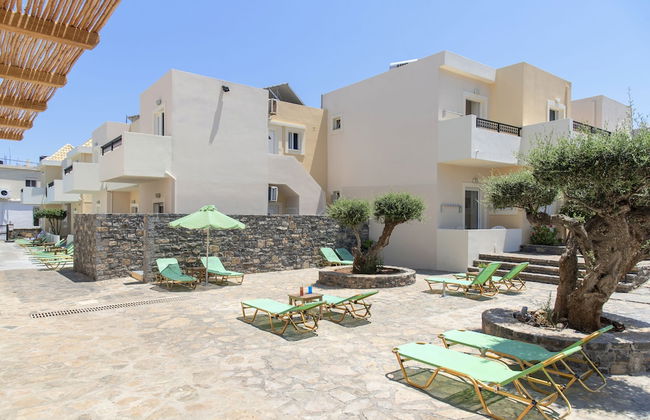 Olive Grove - Foto 14