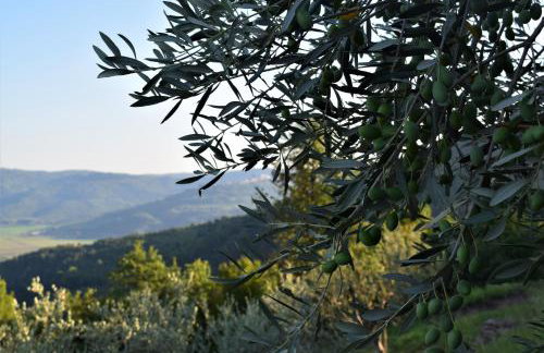 Apartman CASA MARŠIĆ - Foto 26