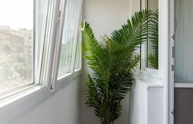 Welcome to the Jungle - Foto 15