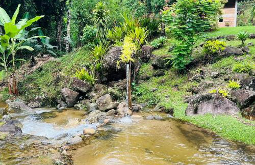 Sitio Bengala - Refúgio das Águas e Mata Nativa - Foto 8