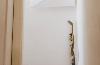 CASA DI NONNA ANNY - Foto 36