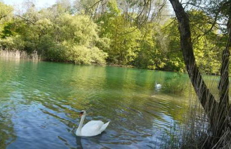 Au clos de marie - Foto 20