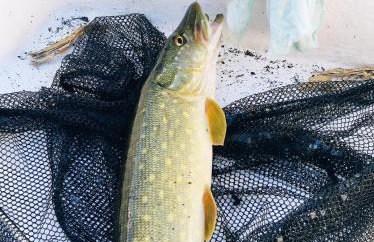 Domki nad Jeziorem Sunia - Foto 37