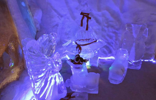 Ingresso do parque Mundo Gelado do Capitão - Foto 3