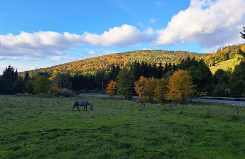Dom nad Potokiem Sowa - Foto 54