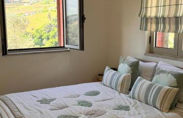 Outeiro Douro House - Foto 12