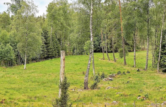 6 Person Holiday Home in Savsjo - Foto 14