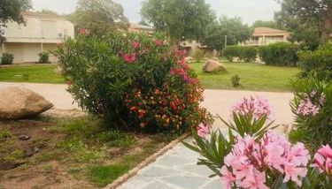 T4 neuf Porto Vecchio Calarossa - Foto 4, Garden