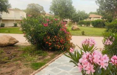 T4 neuf Porto Vecchio Calarossa - Foto 4