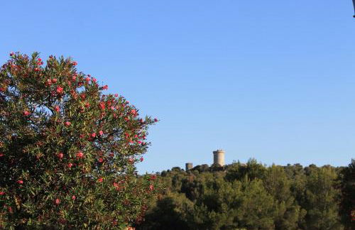 Villa Filipinas ,CITY CENTER -ETV10310 - Photo 41