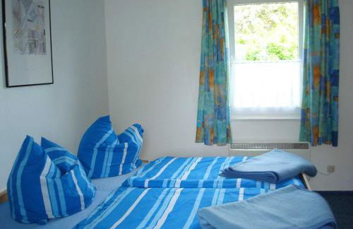 Seepferdchen - Foto 12