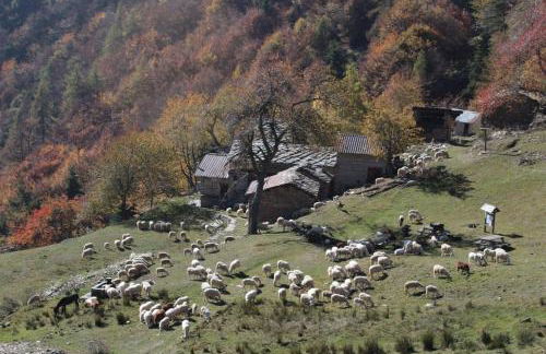 Alloggio in Montagna - Photo 24