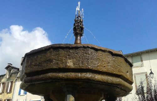 Gîte "les hortensias" au coeur de Lacaune - Foto 17