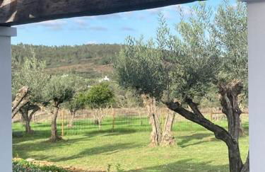 Casa do Monte T2 - Esperança - Foto 28