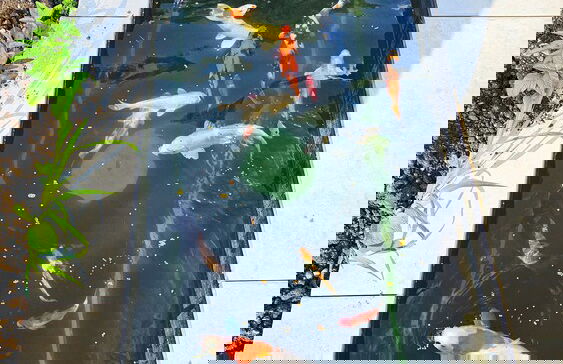 Luxus Neubau 170m2 Loft mit Pool Garten - Foto 45