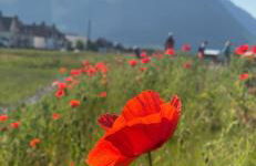 Loch Linnhe View house 17, Fort William - Foto 3