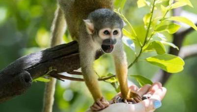 Casa Relax Total - Foto 3