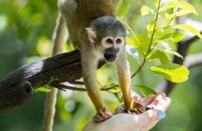 Casa Relax Total - Foto 3