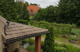 Hofgestüt Bleesern FEWO2 - Foto 18