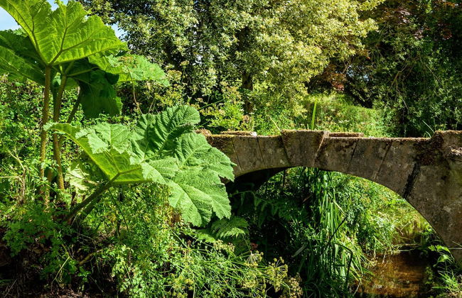 Weeke Brook in Chagford - Foto 28