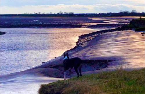 Cute Cottage in Historic Port Carlisle 12miles from M6 - Foto 22