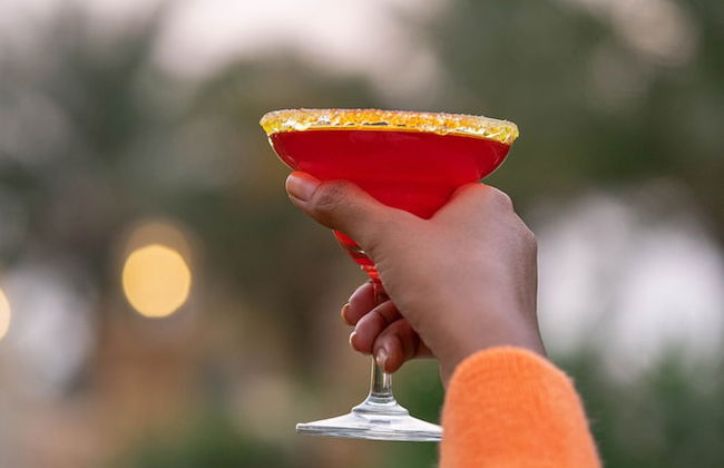 Chokhi Dhani The Palace Hotel - Foto 65