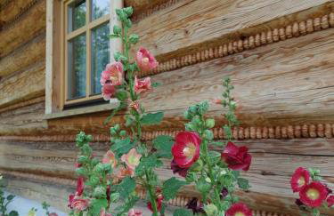 Domek u Heli - Foto 9