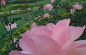 Teresopolis Duplex Green Valley - Photo 52