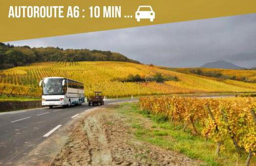 Le Chêne d'Auxerre - Foto 17