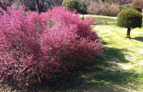 Glengarry Castle Hotel - Photo 24