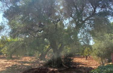 Casa bordolese - Foto 22