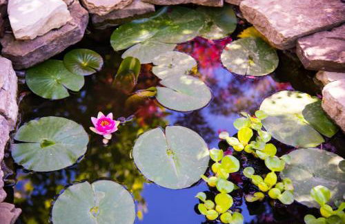 La Casetta - Foto 20