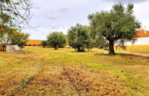 Casas Herdade do Convento da Serra - Foto 53