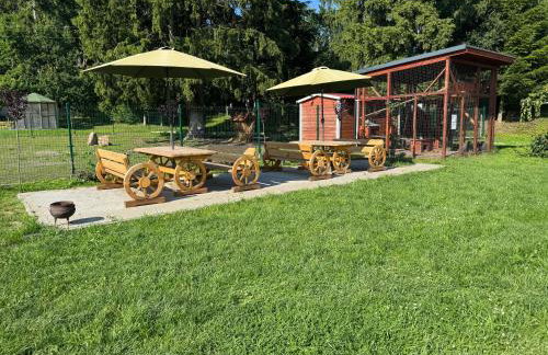 Agroturystyka Zielony Zakątek w Wiewiecku - Foto 56