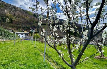 Bon Chalet Tirano - Bernina Express Apartment - Foto 29