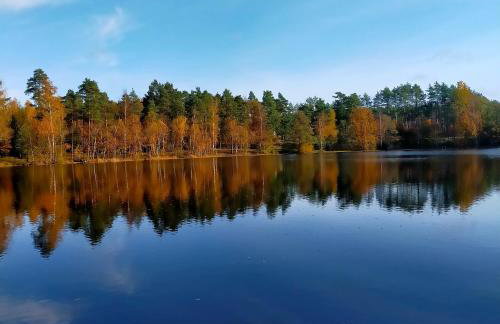 Kaszubski Zakątek - Foto 67