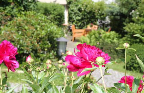 Ferienhaus "Am Papststein" - Photo 13