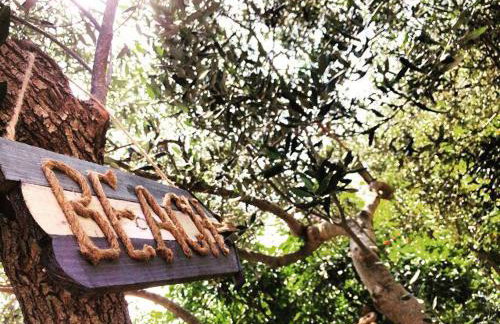 Faros oasis - Foto 61