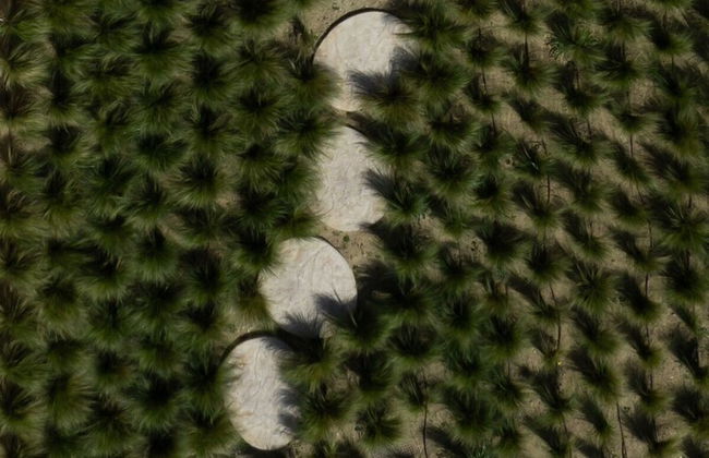 Akrotiri Estate Naxos - Private Hillside Estate - Foto 25