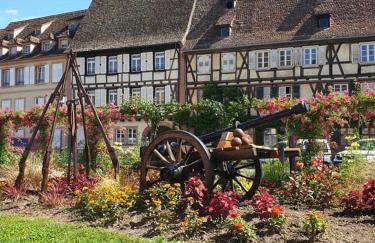 Studio douillet Tout Confort 3 - Wifi - Parking Gratuit - Foto 20