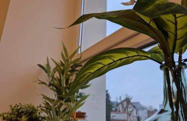 La CASA DEM, Cormontreuil Reims, madamedemconciergerie - Foto 22