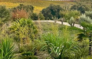 Maçussa Country House - Foto 33