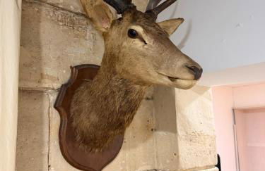 Charmant appartement en pierre proche de Notre dame de Paris - Foto 19