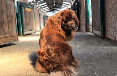 Formby Point - Foto 13