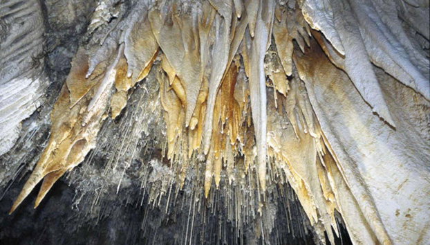 Visita guiada por la Cueva El Soplao - Foto 3
