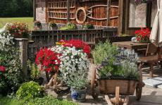 Gfliererhof - Foto 71