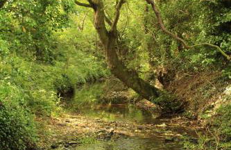 The HopBarn - Foto 8